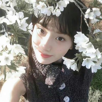 我亲爱的怪物伙伴